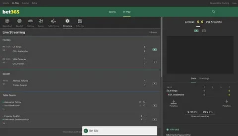 bingo online randomizer 