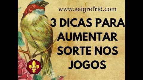 como criar plataforma de apostas 