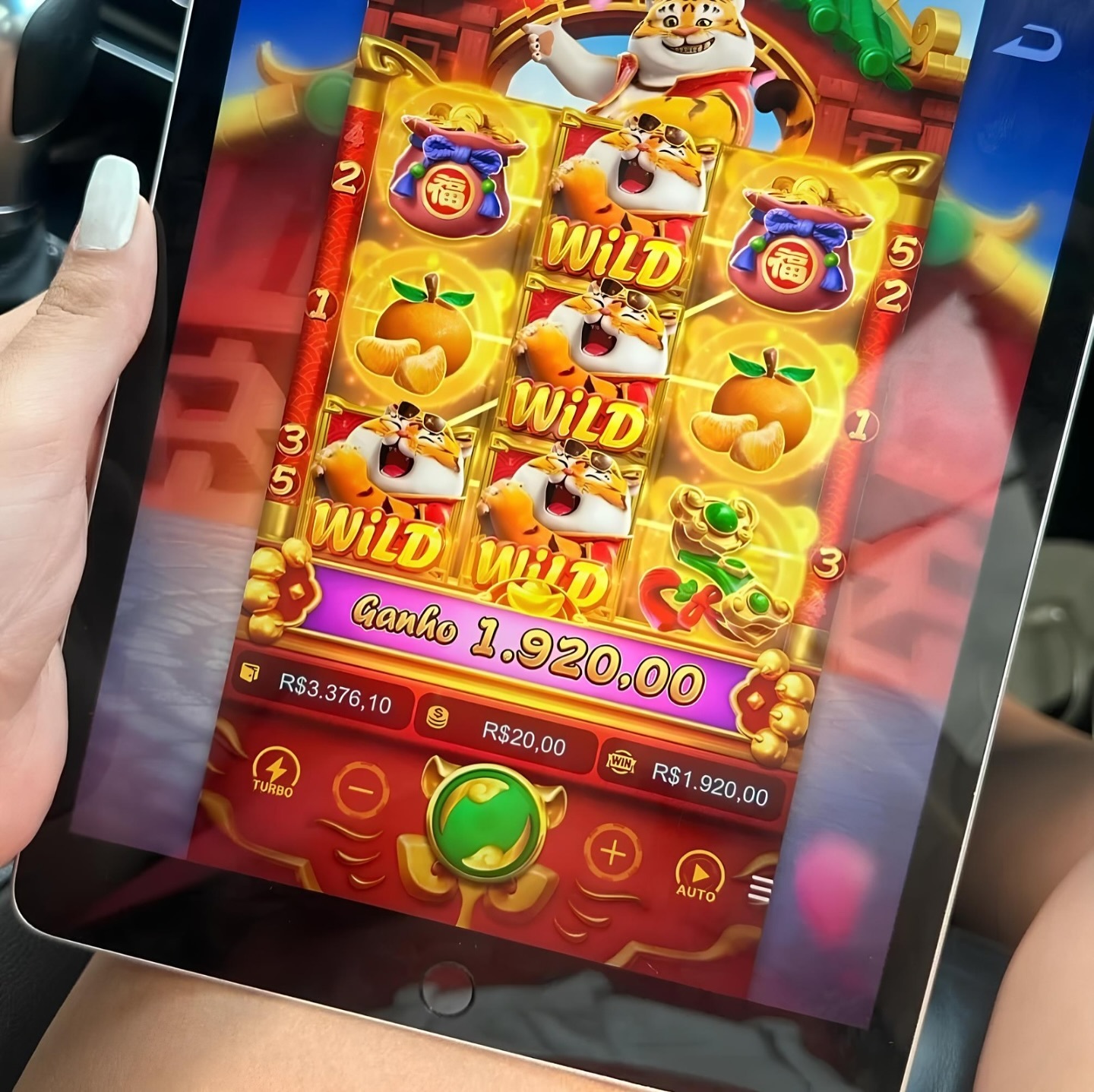 esporte da sorte cassino online 