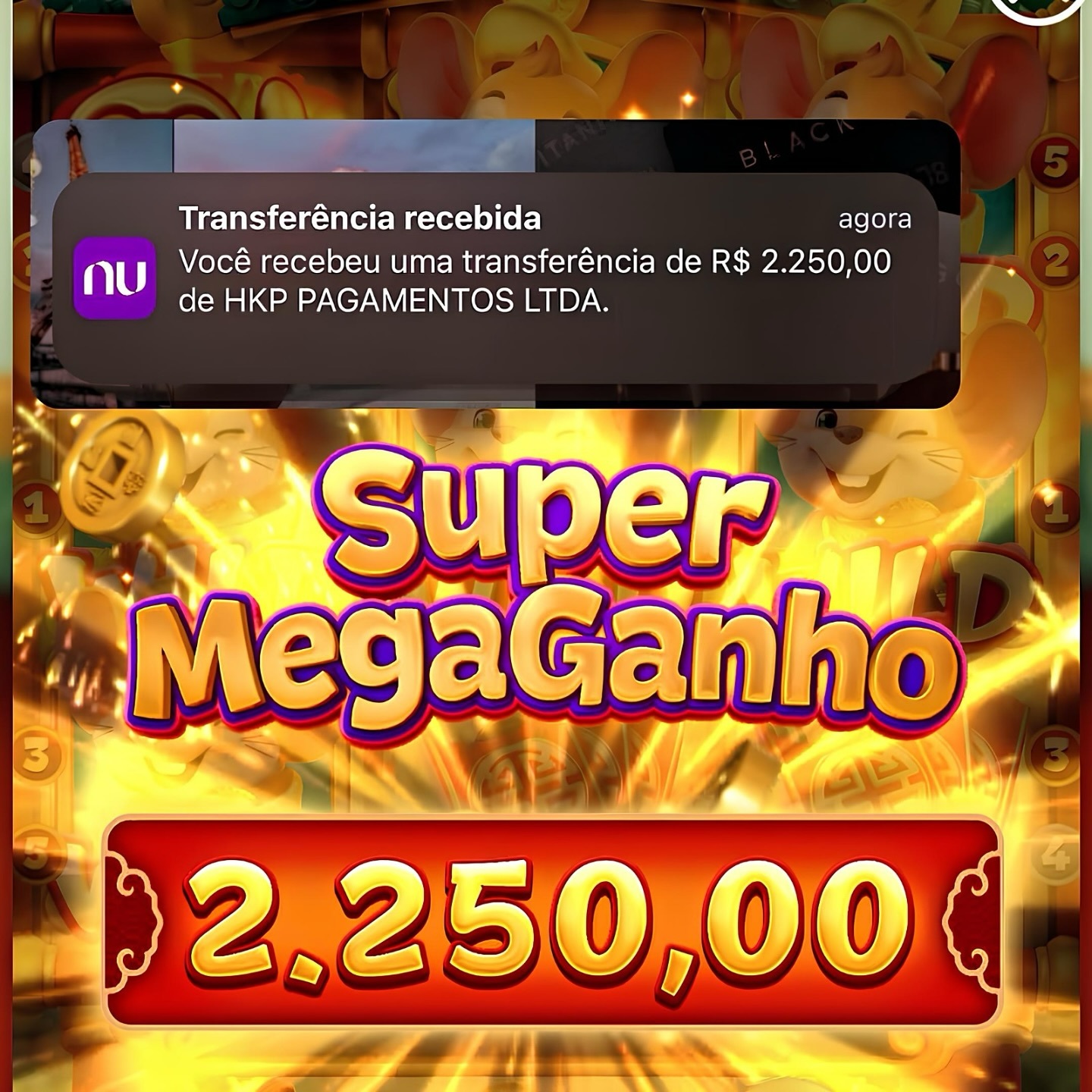 lotofácil 3491 