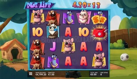 stake vs roobet reddit 